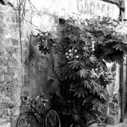 Bike in Passage
